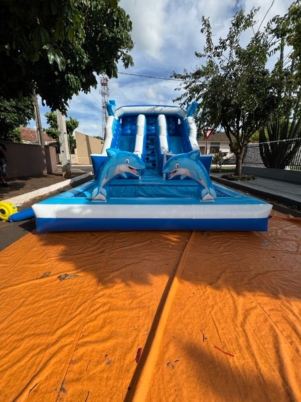 Mini Golfinho 4